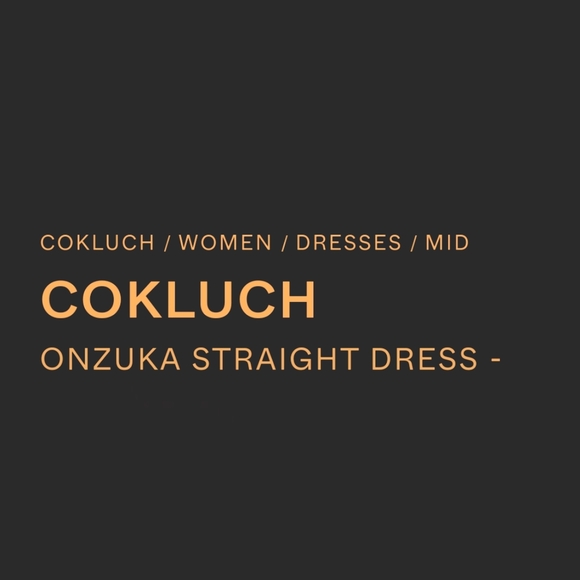 Cokluch Onzuka Straight Black, Cream Printed Sustainable Midi Dress, XS. HP! - Picture 5 of 13